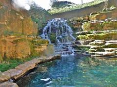 149 BIO PARC DE DOUE LA FONTAINE 6- 2016_000034